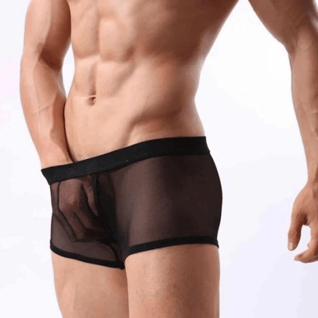 Tegan Fantezi  Transparan Tül Erkek Boxer  Fantezi Tanga MHS634603 - 3